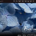 レイン（Rain）のトップページ画像