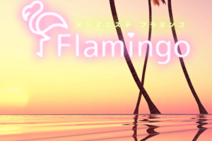 『フラミンゴ(Flamingo)』体験談。