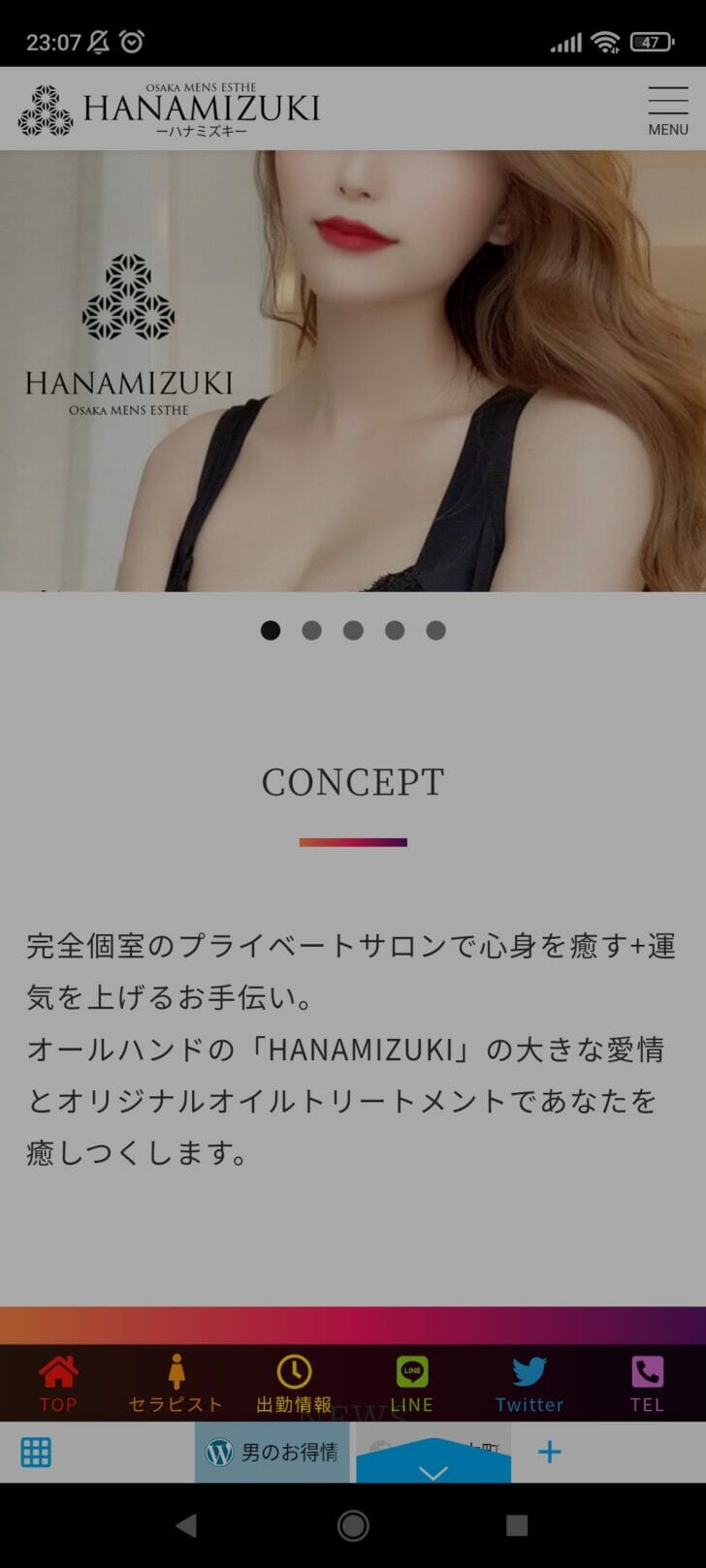 Screenshot 2022 03 14 23 07 35 133 jp.co .fenrir.android.sleipnir